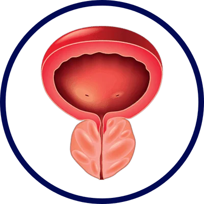 Passo 3 do uso do Viallyx